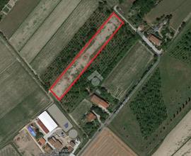 TER. AGRICOLO A SAN DONÀ DI PIAVE