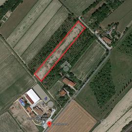 TER. AGRICOLO A SAN DONÀ DI PIAVE