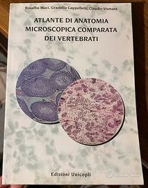 5 LIBRI UNIVERSITARI