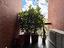 Immagine 20