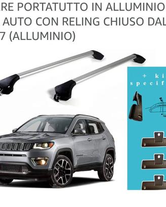 portapacchi e portavici