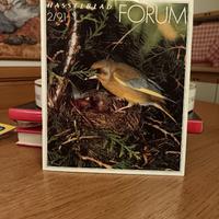 Hasselblad Forum 2/91