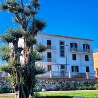 Vista mare, porto, molo, in centro