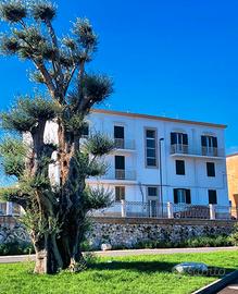 Vista mare, porto, molo, in centro