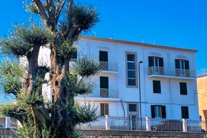 Vista mare, porto, molo, in centro