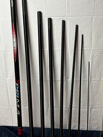 Canna Roubasienne
