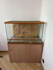 Teca per rettili