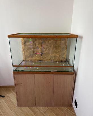 Teca per rettili
