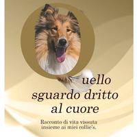 libro QUELLO SGUARDO DRITTO AL CUORE