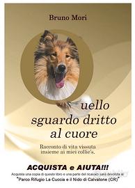libro QUELLO SGUARDO DRITTO AL CUORE