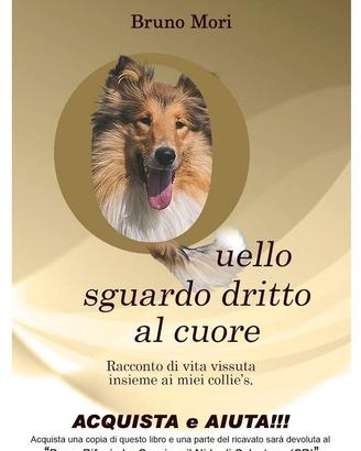libro QUELLO SGUARDO DRITTO AL CUORE