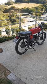 malagutti gam 6