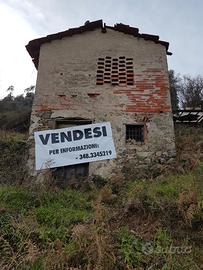 Terreno e rustico