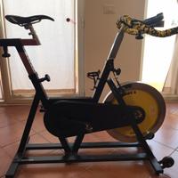 Spin bike/spinning bike moser 25kg