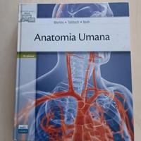anatomia umana
