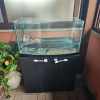 Tartarughe e mobile con tartarughiera