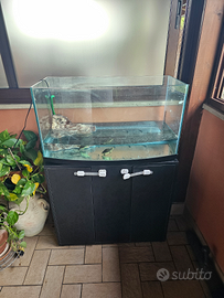 Tartarughe e mobile con tartarughiera