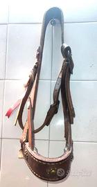 CAVEZZA  BRIGLIA ARTIGIANALE PER MULO  CAVALLO