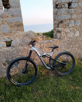 specialized enduro Expert carbon tg m 2017