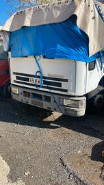 IVECO 75E14 TRASPORTO ANIMALI
