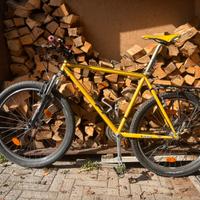 Bici specialized mtb