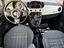 Immagine 11