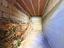 Immagine 14