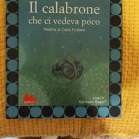 il calabrone che ci vedeva poco