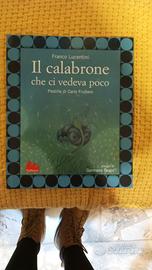 il calabrone che ci vedeva poco