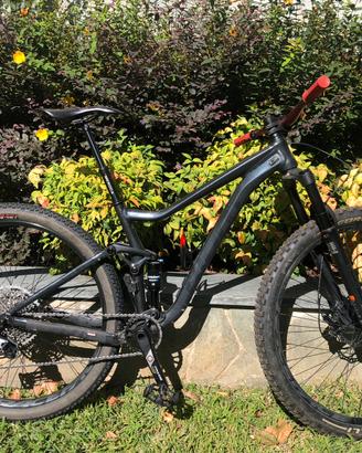 Mtb giant stance 2