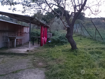 Appezzamento di terra