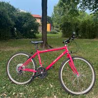 Bici mtb ruote 26 pollici Nevada cambio shimano