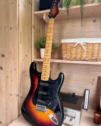 Chitarra Elettrica + accessori