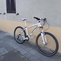 Mountain bike