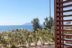 Casa singola con ampio cortile