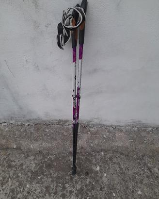 Bastoncini da nordic walking marca Fizan