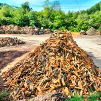 LEGNA DI QUERCIA