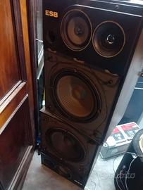 casse famose ESB 100 watt