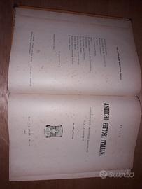 volume antico sui grandi pittori 