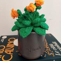 Pianta uncinetto fiori amigurumi