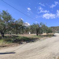 Terreno - Casteldaccia