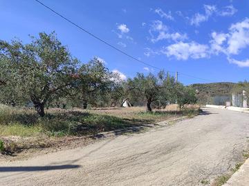 Terreno - Casteldaccia