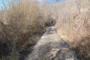 Orto e terreni