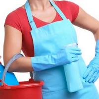 Addetta alle pulizie