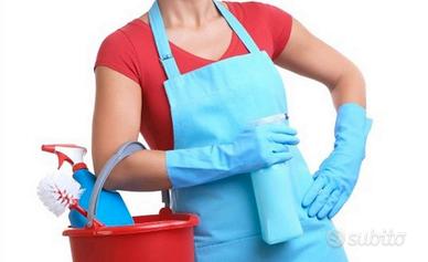 Addetta alle pulizie
