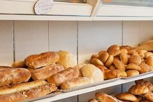 Cessione d'azienda Panificio a Palombara Sabina