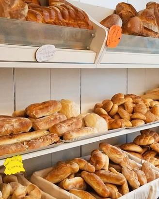 Cessione d'azienda Panificio a Palombara Sabina