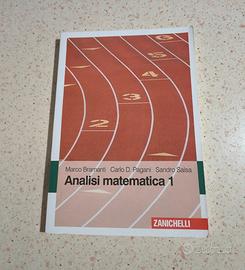 Analisi matematica 1 - Bramanti, Pagani, Salsa