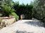 Immagine 11