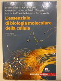 L’essenziale di biologia molecolare della cellula